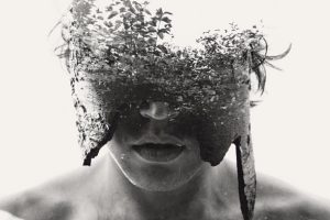 Bark (Christoffer Relander)