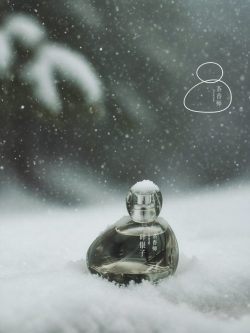 A quiet expression of stillness