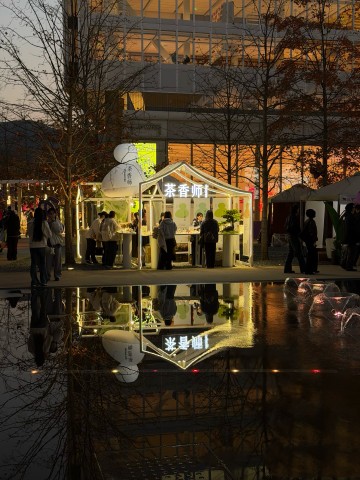 Curated Fragrance Brands