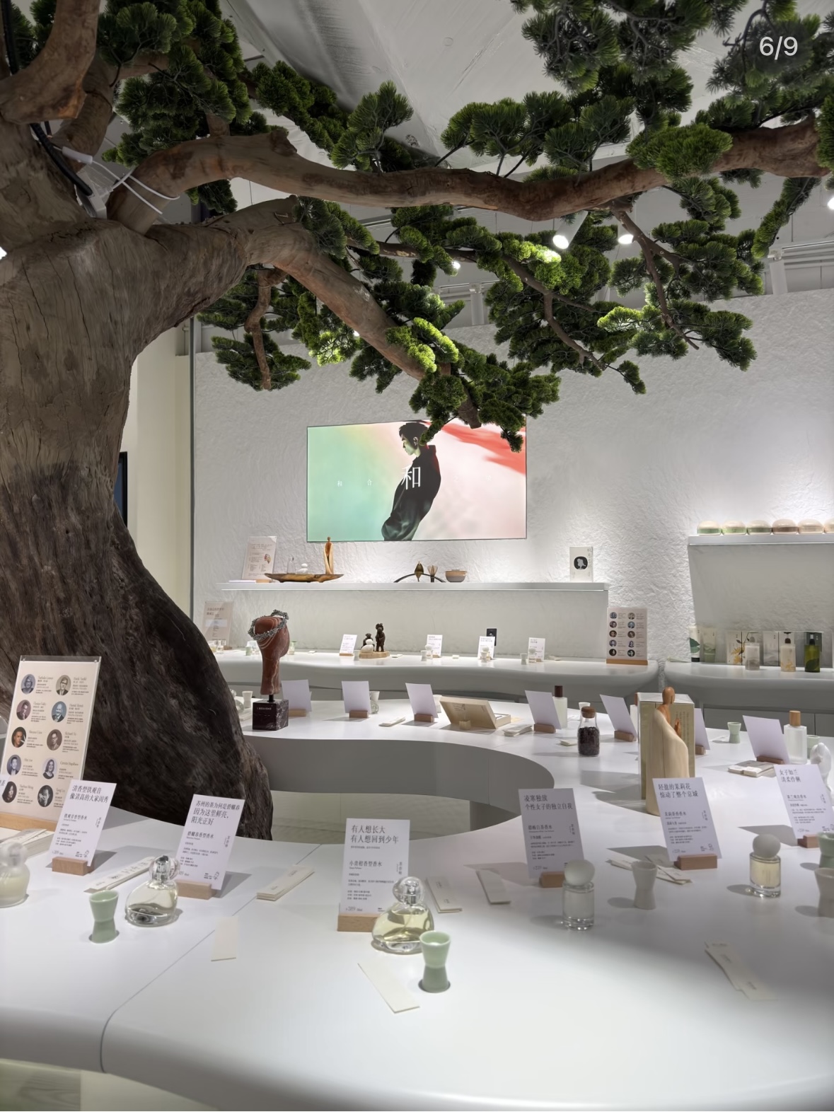 Curated Fragrance Brands